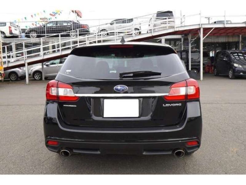 LEVORG