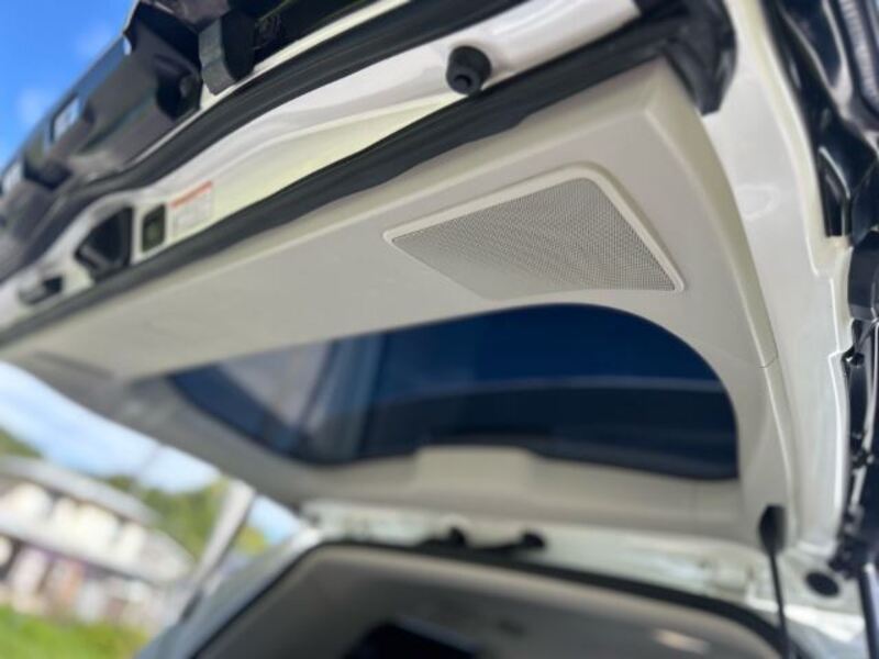 LX