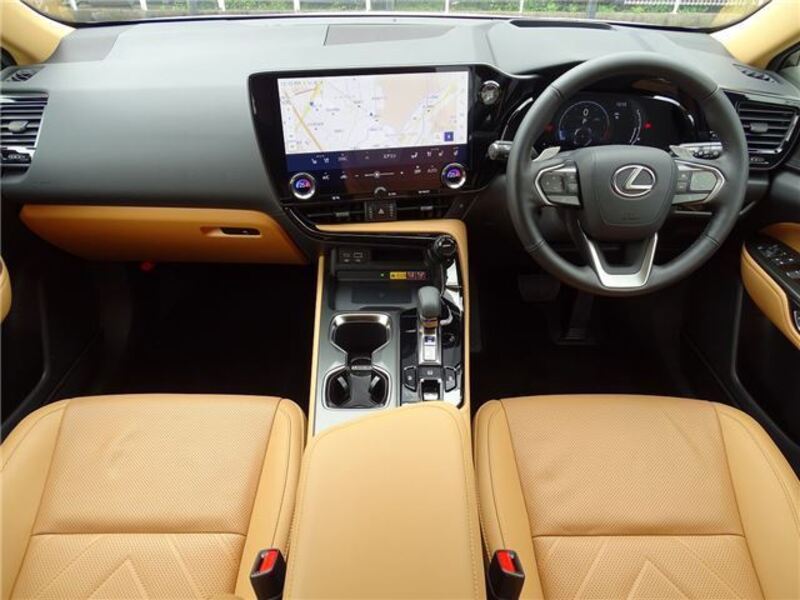 NX