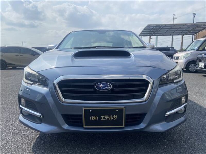 LEVORG-0