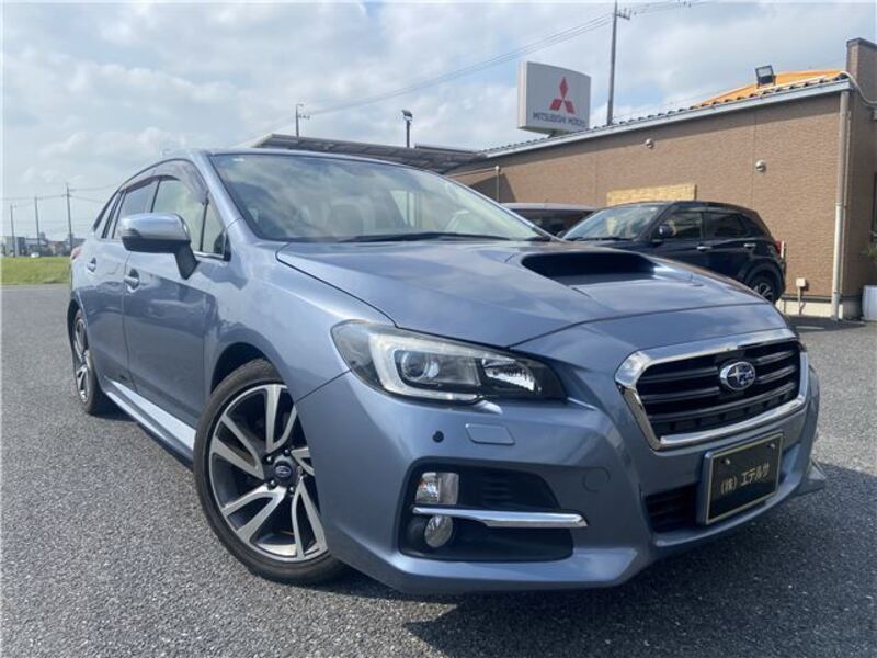 LEVORG