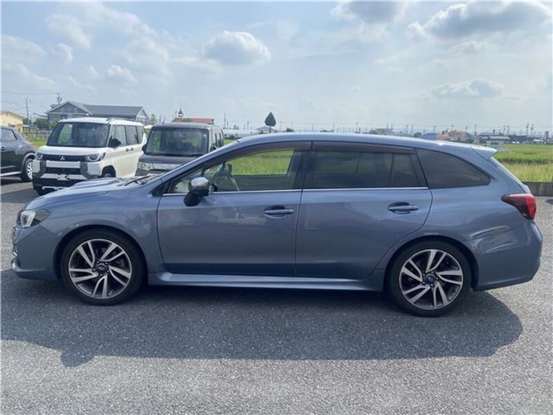 LEVORG