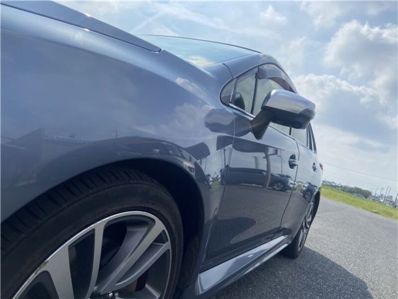 LEVORG