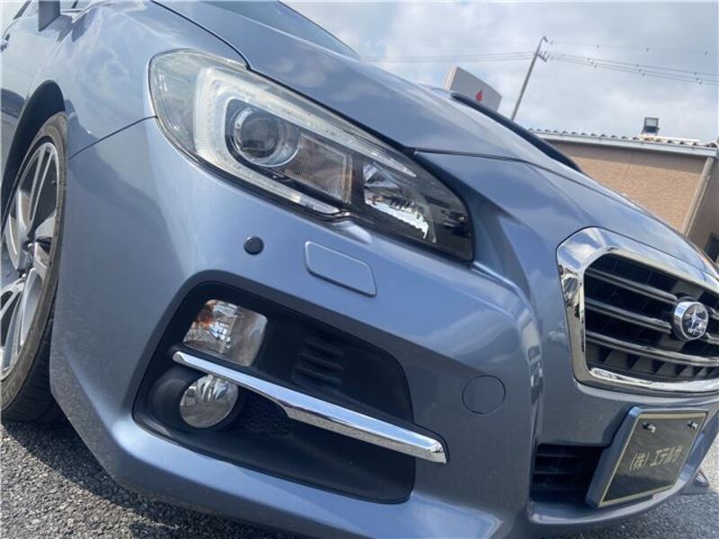 LEVORG