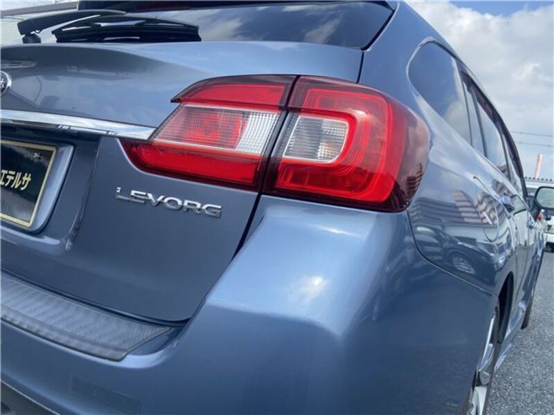 LEVORG