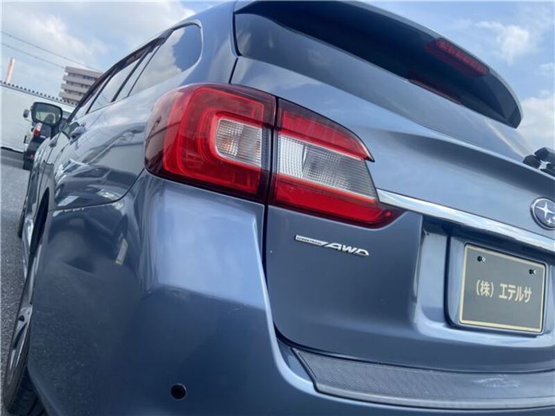 LEVORG
