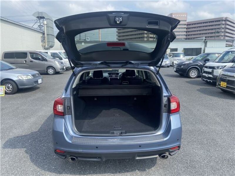 LEVORG