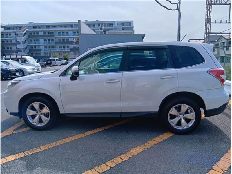 FORESTER