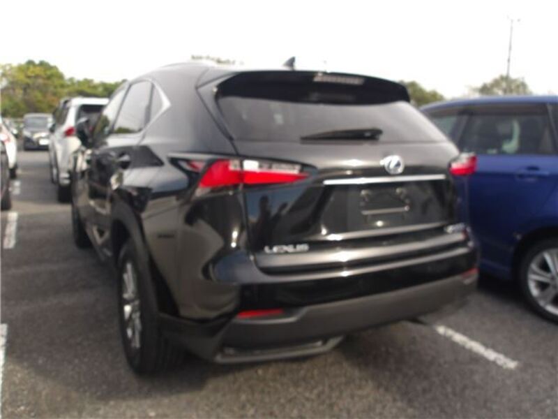 NX
