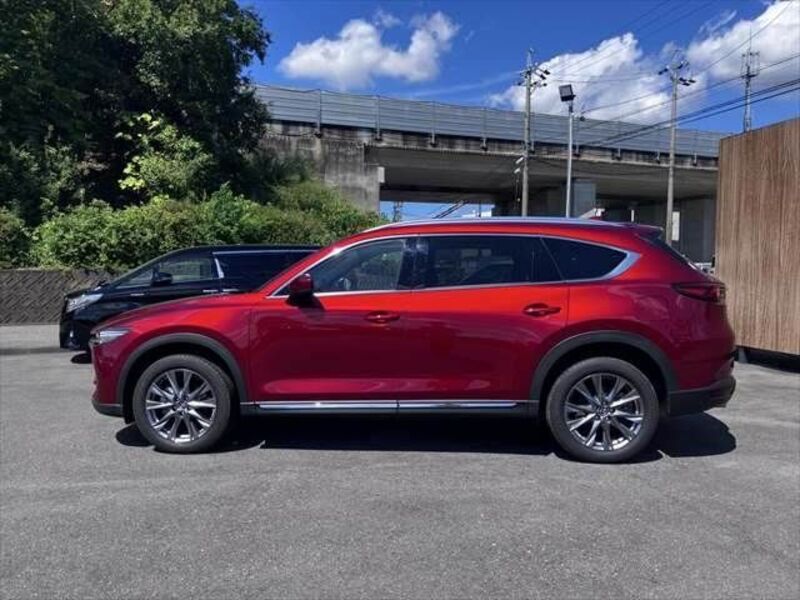 CX-8