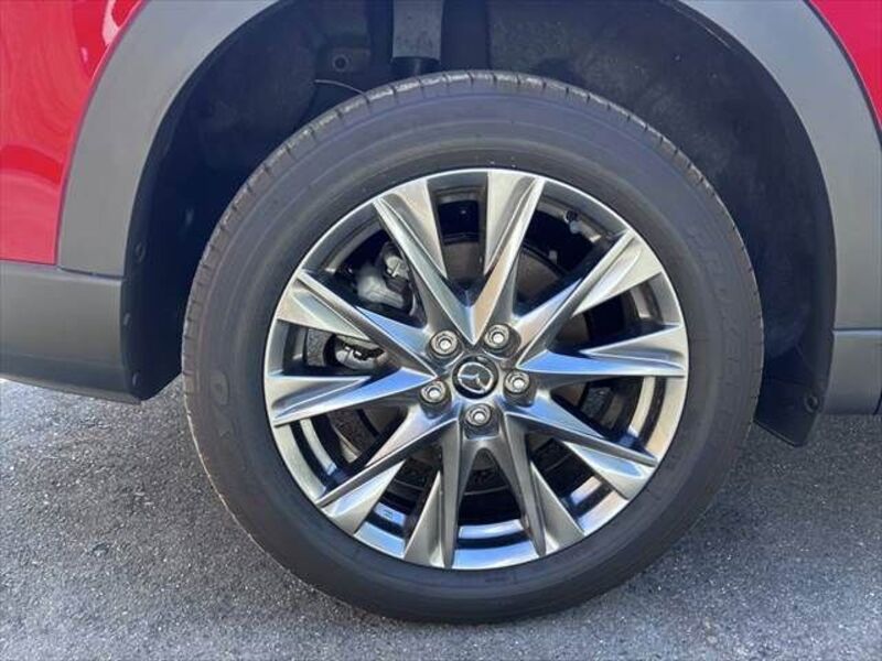 CX-8