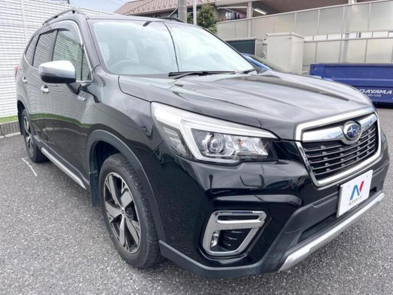 FORESTER