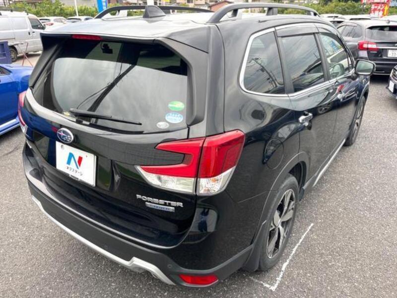 FORESTER