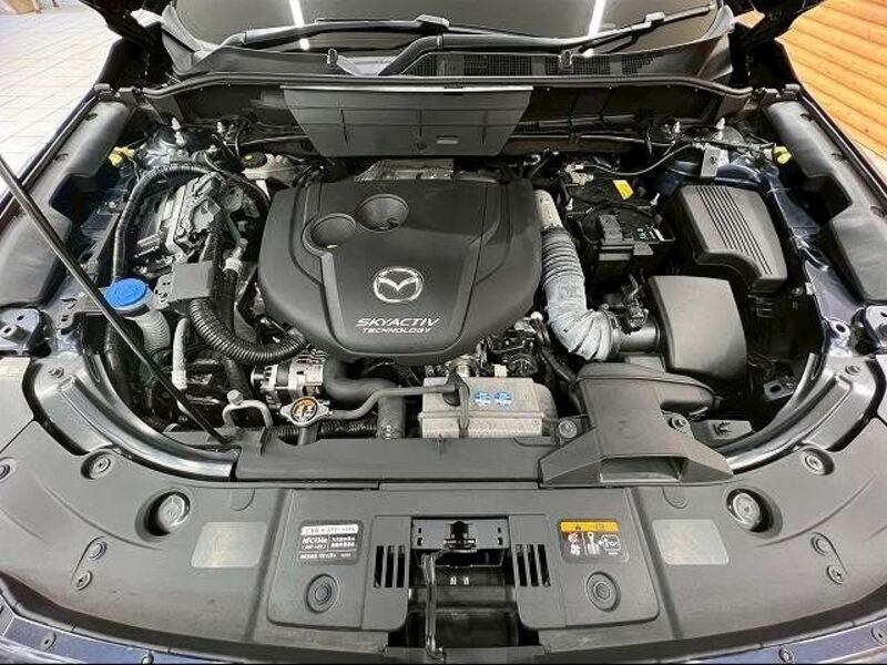 CX-8