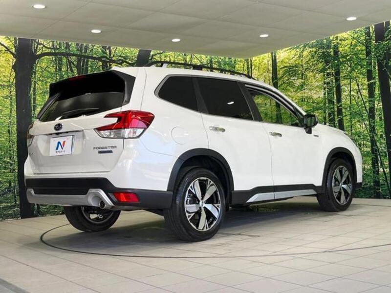 FORESTER