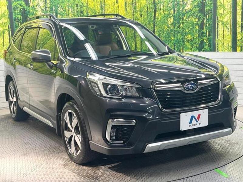 FORESTER