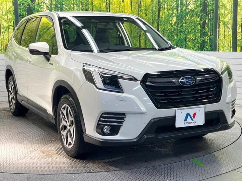 FORESTER