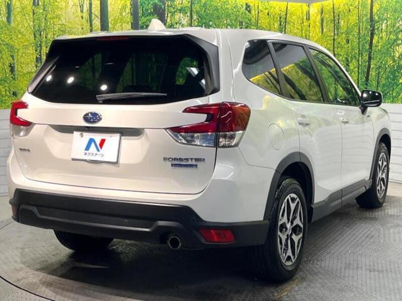 FORESTER