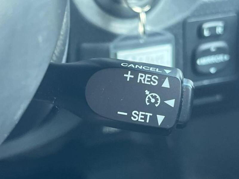 FJ CRUISER
