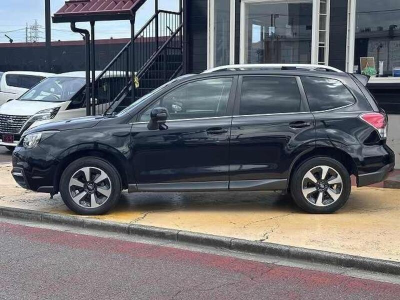 FORESTER