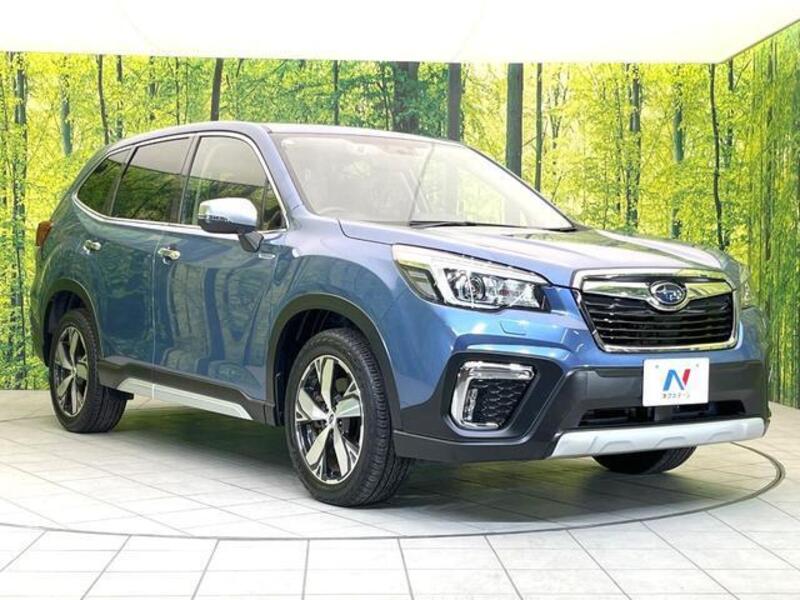 FORESTER