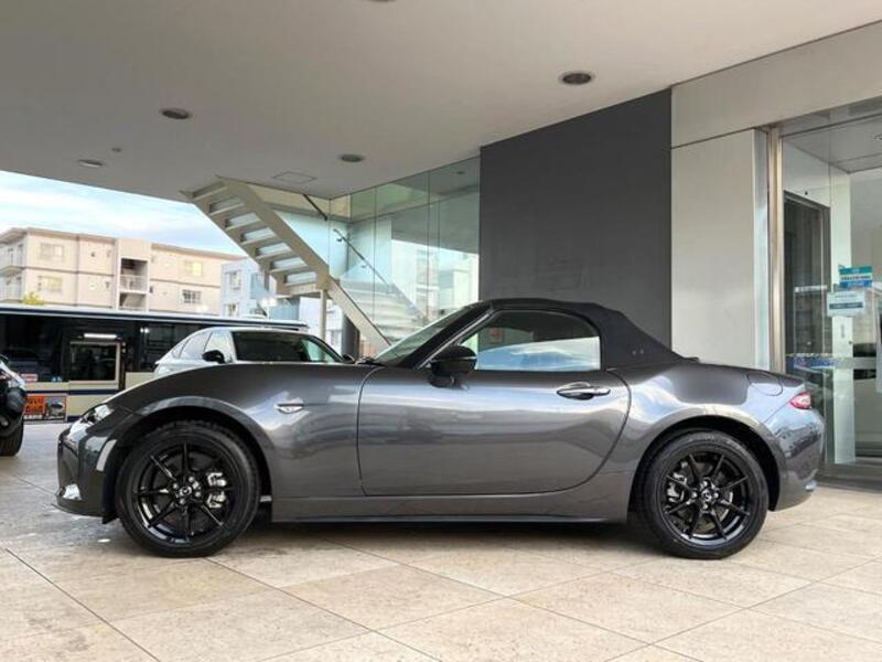 ROADSTER