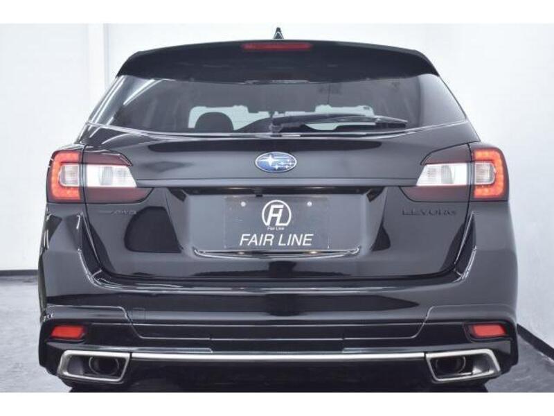 LEVORG
