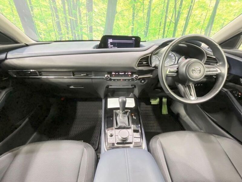 CX-30