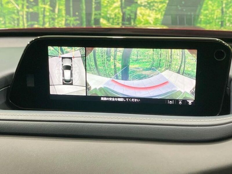 CX-30