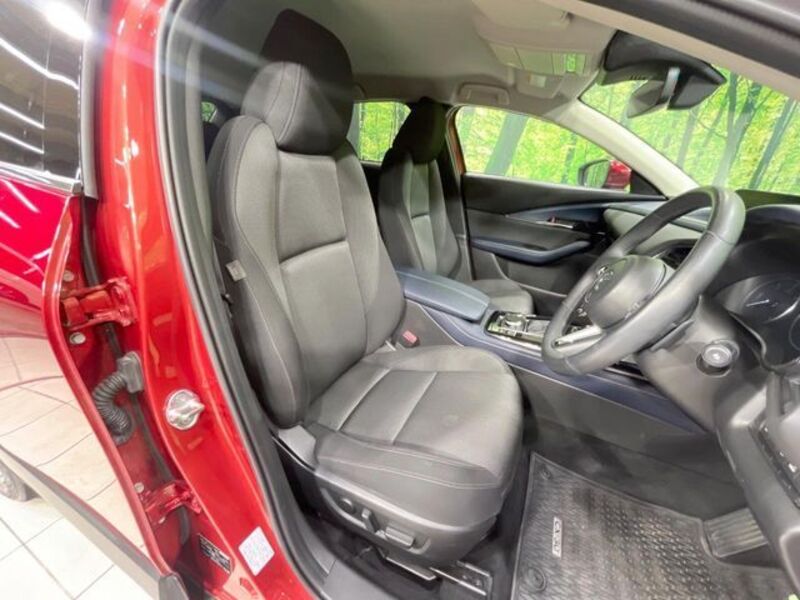CX-30