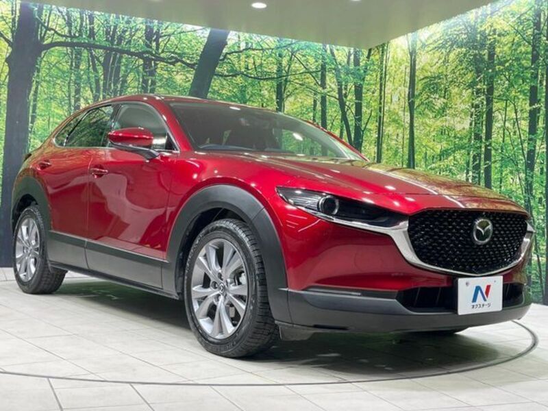 CX-30
