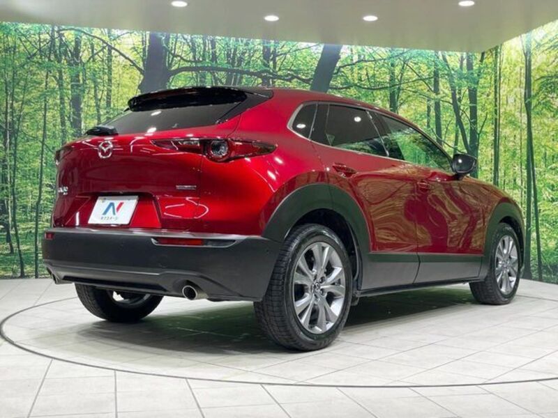 CX-30
