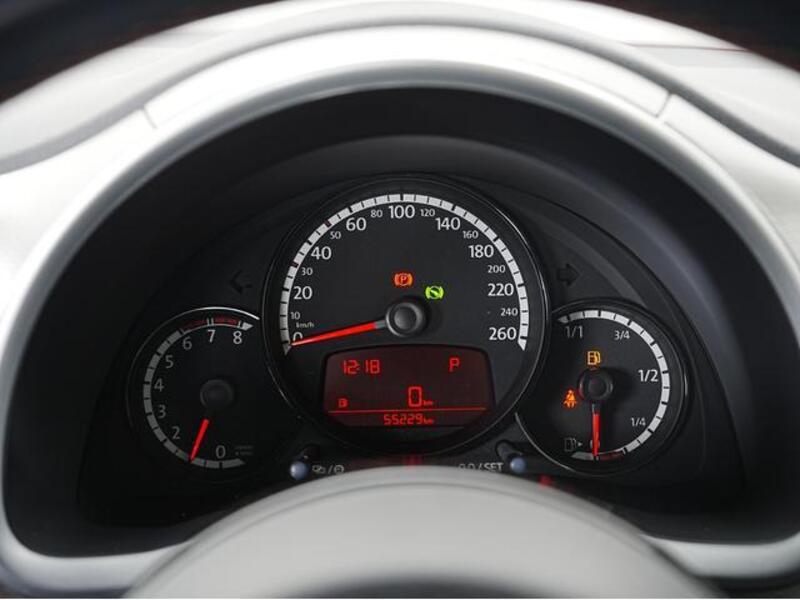 THE BEETLE