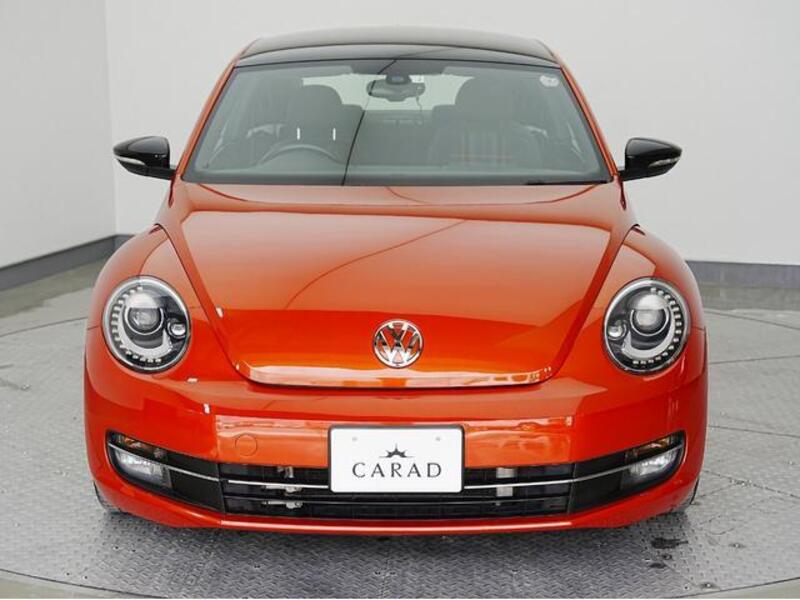 THE BEETLE
