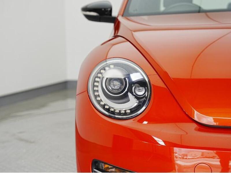 THE BEETLE