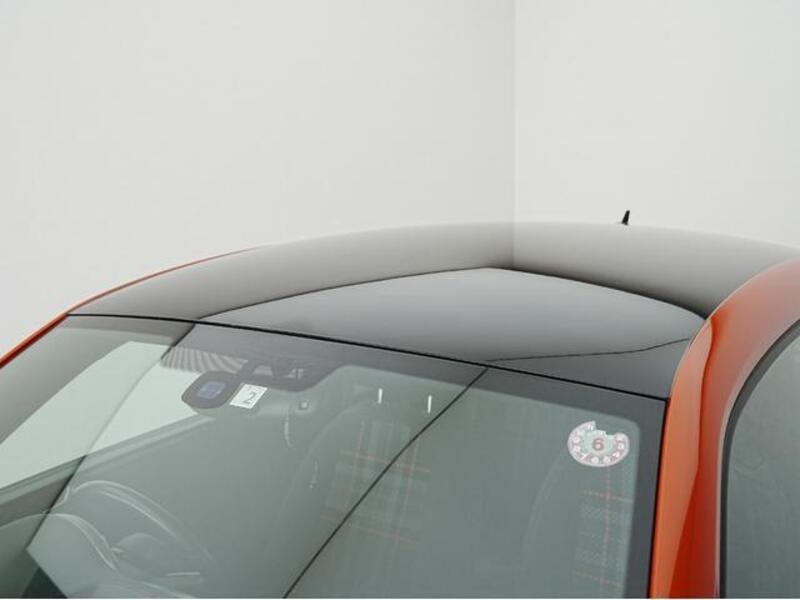 THE BEETLE