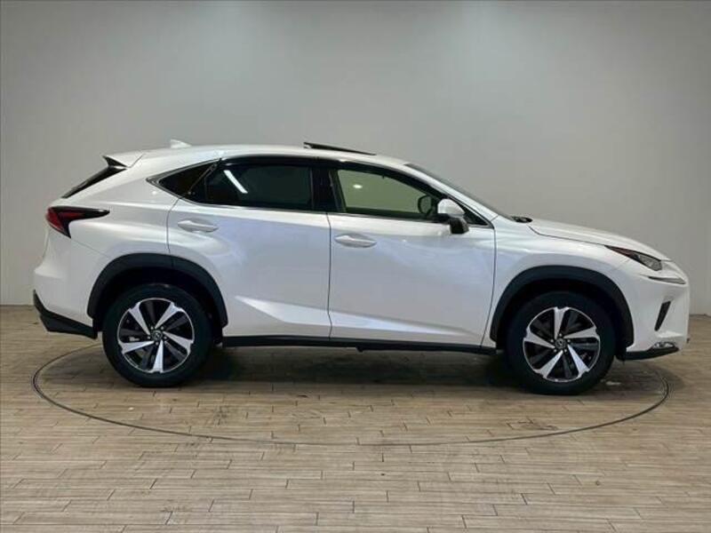 NX