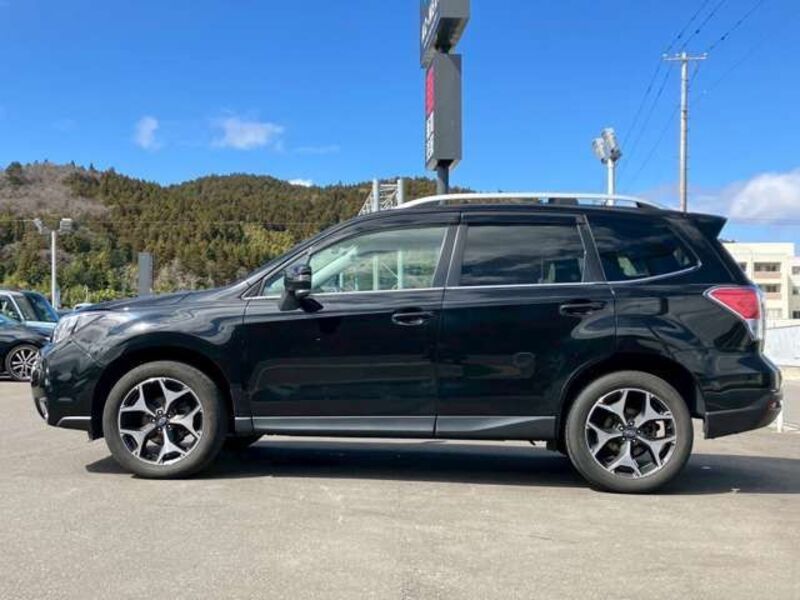 FORESTER