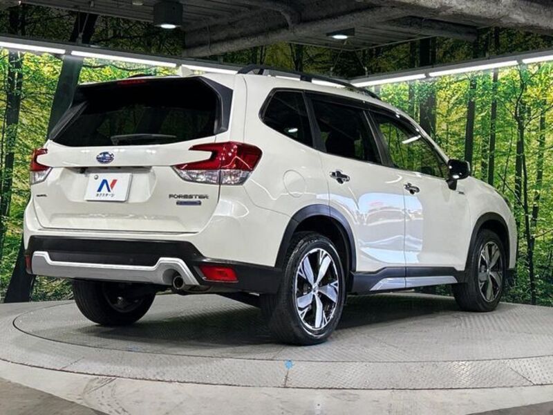 FORESTER