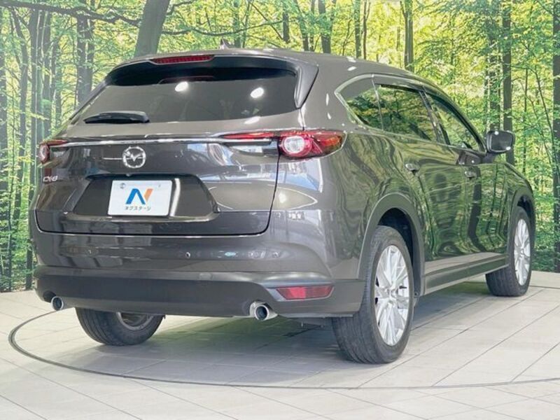 CX-8