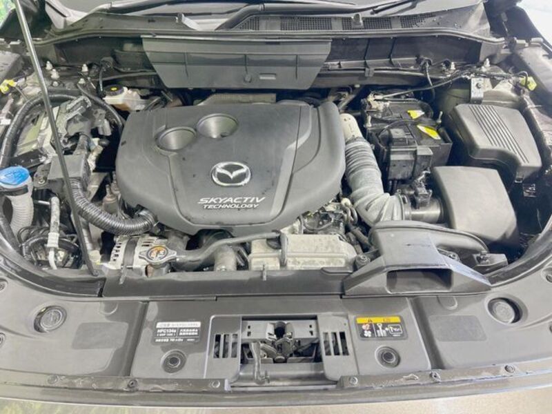 CX-8