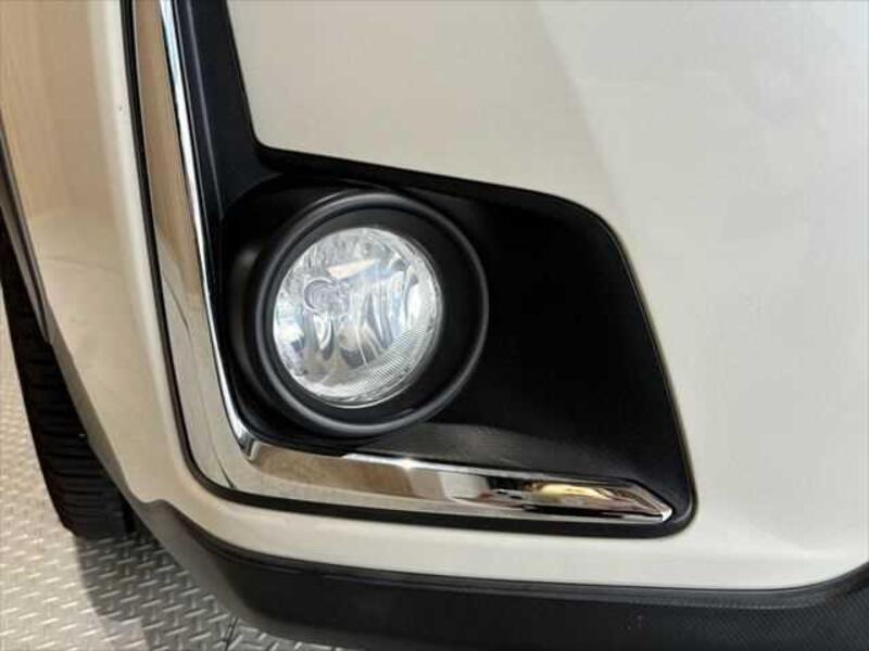 XV