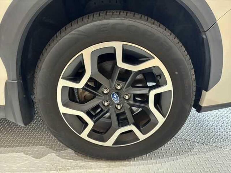 XV
