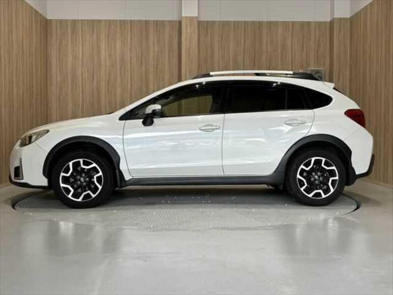 XV