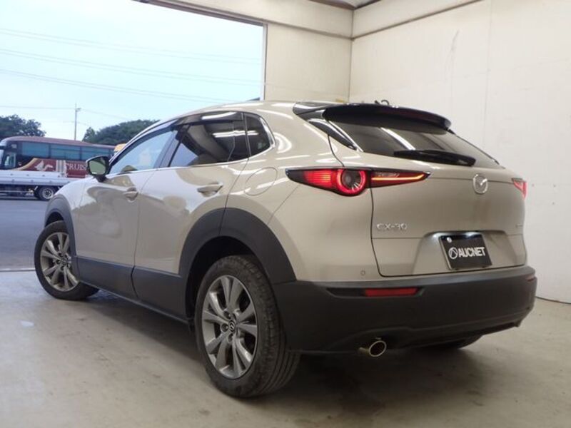 CX-30