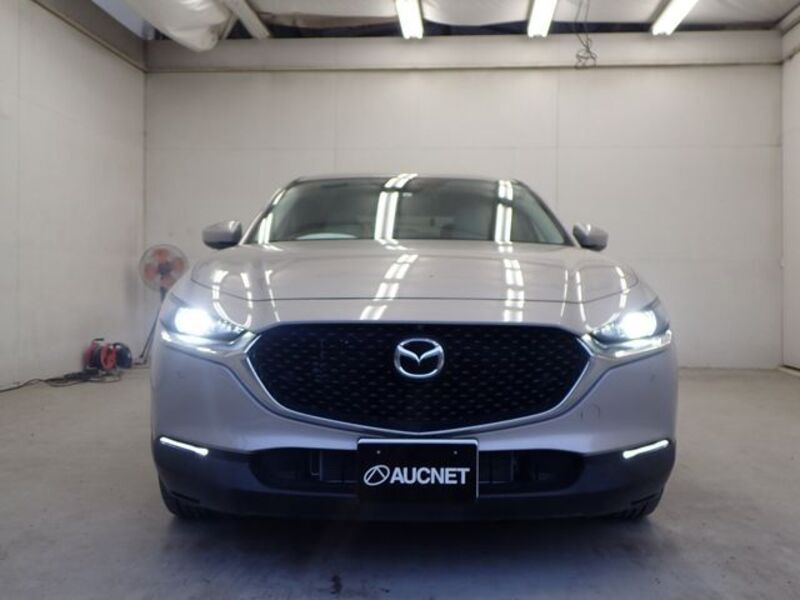CX-30