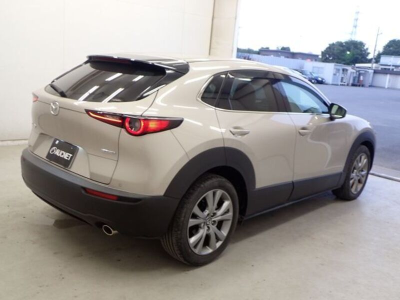CX-30