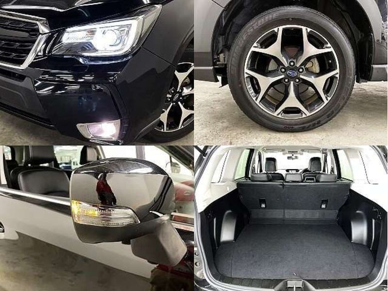 FORESTER