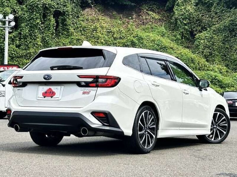 LEVORG