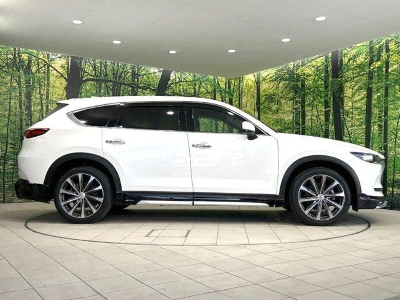 CX-8